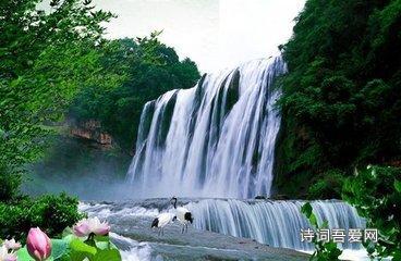 数码宝贝8